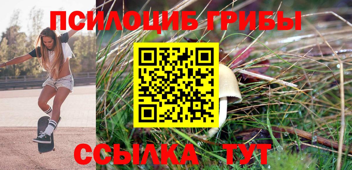 Галлюциногенные грибы Cubensis  Вход с VPN  Псилоцибиновые грибы MAGIC MUSHROOMS  Назарово 