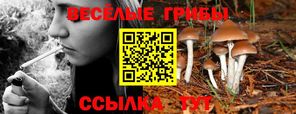 Галлюциногенные грибы MAGIC MUSHROOMS Назарово
